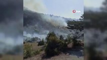 Son dakika haberleri: Başkent'te ormanlık alanda yangın