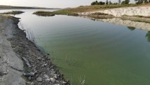 Sazlıdere Barajı'nın yüzeyi yeşile büründü