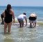 Pawleys Island Beachgoers Rescue Mama Whale That Became Stranded on Sandbar after Giving Birth
