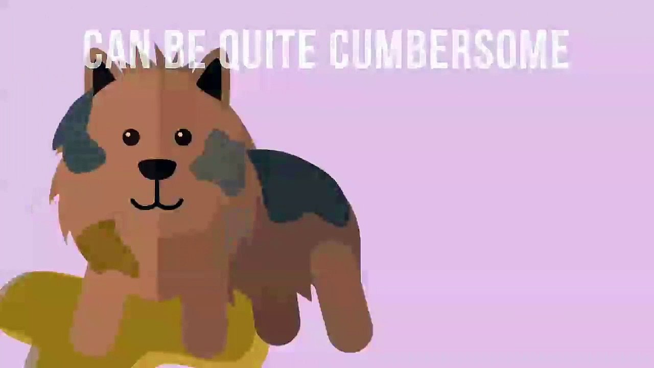 How to groom a dog 