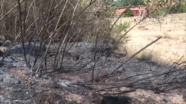 La mujer asesinada por su marido en Sant Vicenç lo había denunciado por violencia machista