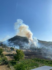 Son dakika gündem: Kızılcahamam'da ormanlık alanda yangın çıktı