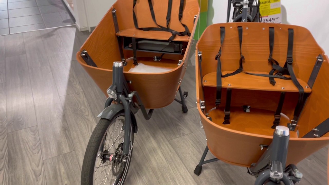 Babboe bike
