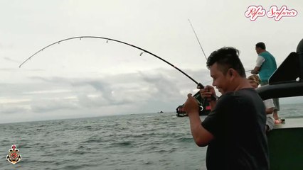 Joran Pancing Carbon Solid 20Lbs Melengkung Tajam