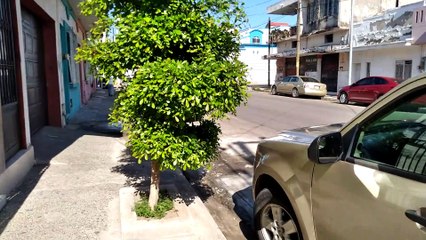 Recorrido por la Avenida Ignacio Zaragoza | Centro de Mazatlán | 29 de Julio del 2021 | HD