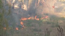 Ormanlık alandaki yangına havadan karadan müdahale sürüyor