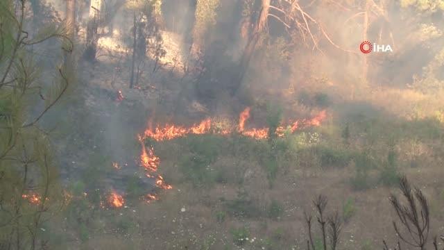 Ormanlık alandaki yangına havadan karadan müdahale sürüyor