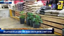 En La Placita la caña con ruda cuesta entre $100 y $150