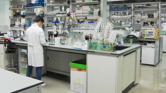 과기정통부, 한국형 mRNA 백신 기술 개발 적극 지원 / YTN