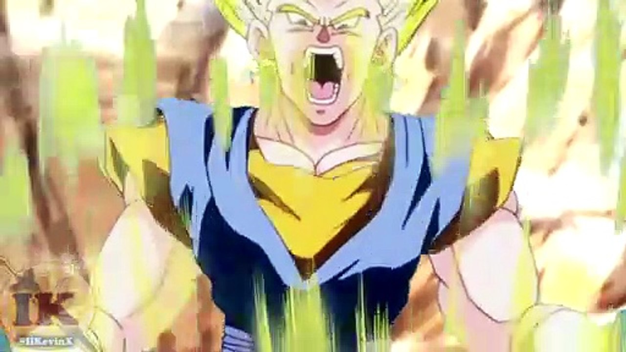 Vegetto vs Beerus
