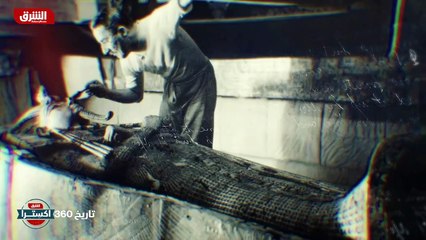 العمر المديد