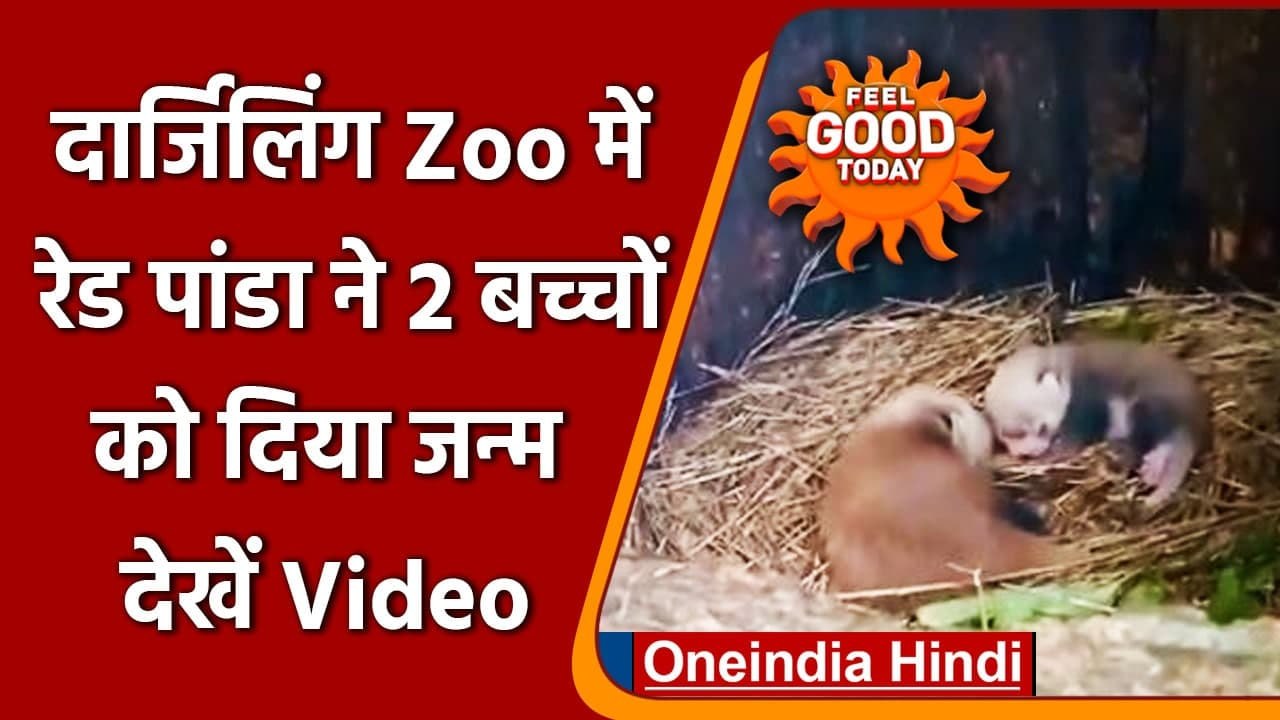 West Bengal: Darjeeling के Zoological Park में...