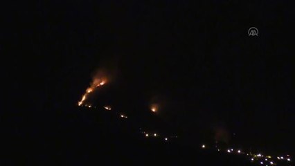 Son dakika haber! Hatay'da çıkan orman yangını kontrol altına alındı