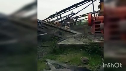  Dogs masti.._Viral Samachar