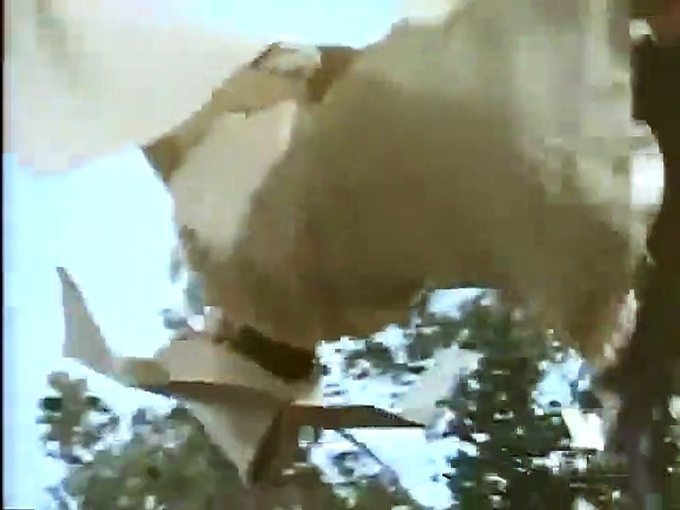 The Flying Nun   3x08   A Convent Full of Miracles .    Sally Feilds (2)