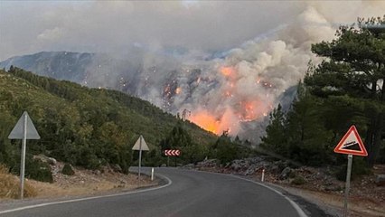 Ormanlarımızı küle çeviren yangınlar 4. gününde! 75'i kontrol altına alındı, 10 nokta yanmaya devam ediyor