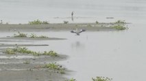 Water level of Yamuna river receding