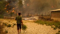Ekoloji Uzmanı Prof. Dr. Neyişçi: Tarım arazilerini yangından kurtarmak, koruyucu şeritlerle mümkün