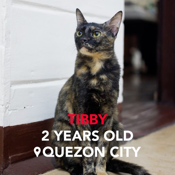 Her excellency, Puuresident Tibby