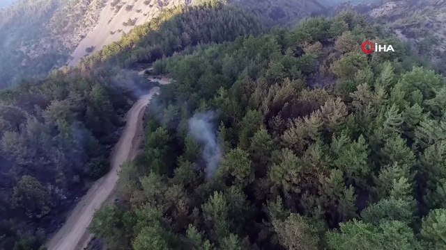 Kozan'daki orman yangını kontrol altına alındı