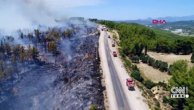 SON DAKİKA... Cumhurbaşkanı Erdoğan: Yangın alanları afet bölgesi ilan edildi