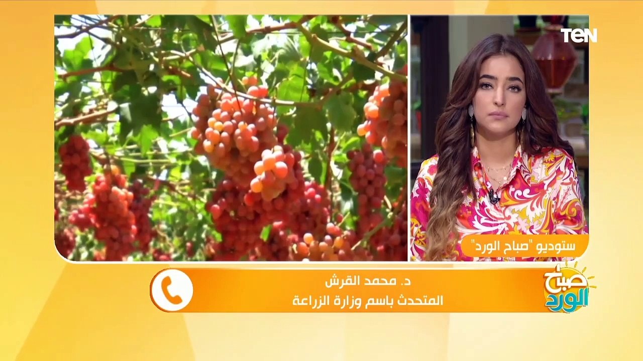 "الزراعة": لدينا اكتفاء ذاتي من الخضر والفاكهة بنسبة 100%.. وهذه أهم أنواع الصادرات