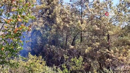 Hatay'da, ormanlık alan yakınında çıkan bahçe yangını kontrol altına alındı