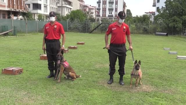 Jandarma köpekleri Tonya ve Barut suçlulara göz açtırmıyor