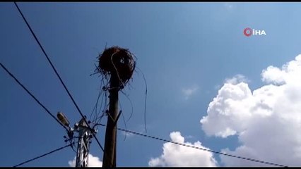 Yuvasından düşen leyleği köylüler kurtardı