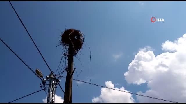 Yuvasından düşen leyleği köylüler kurtardı