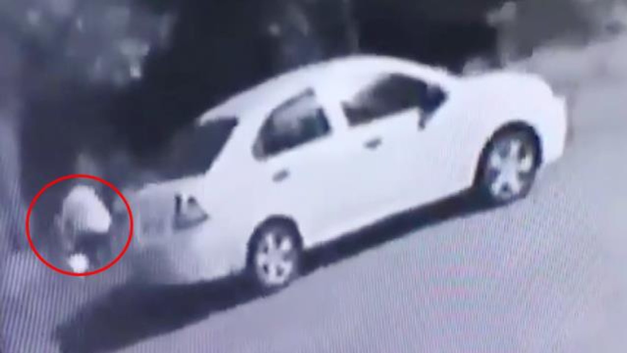 Ağacı ateşe vermeye çalıştıkları anlar olay yaratmıştı! Zonguldak Valiliği iddiaları yalanladı