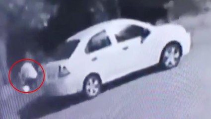 Ağacı ateşe vermeye çalıştıkları anlar olay yaratmıştı! Zonguldak Valiliği iddiaları yalanladı