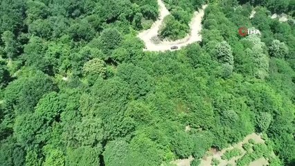 "Orman yangınlarının yüzde 90'ından fazlası insan kaynaklı"