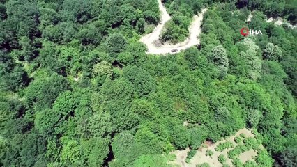 'Orman yangınlarının yüzde 90’ından fazlası insan kaynaklı'