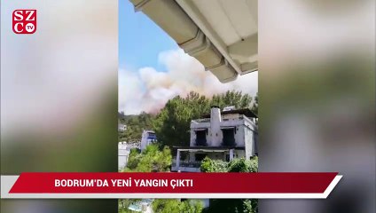 Bodrum'da yeni yangın çıktı