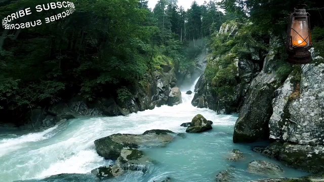 قصة الصحابي جليبيب رضي الله عنه(ياليت قومى يعلمون)