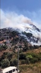 Hatay Antakya'da yangın! Alevler evlere sıçradı