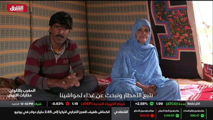 أكبر السفن في العالم