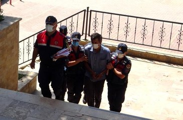 Bilecik'te yaşanan orman yangınının şüphelisi adliyeye sevk edildi