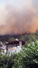 Son dakika: Bodrum'da yangın ve patlama sesi!
