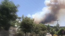 Bodrum'da makilik ve ormanlık alanda yangın (2)