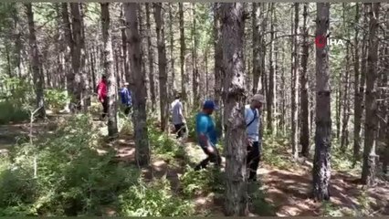 Descargar video: Yürüyüş yapmak için ormana giden Emine öğretmenden haber alınamıyor