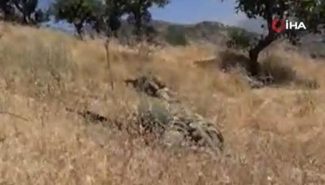 Fırat Kalkanı bölgesine saldırı hazırlığındaki 2 PKK/YPG'li terörist etkisiz hale getirildi