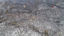 Son dakika gündem: Aladağ'daki orman yangını kısmen kontrol altına alındı