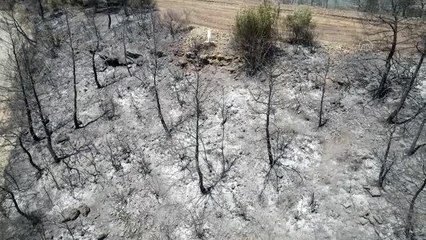 Son dakika haberi: (DRONE) Aladağ'daki orman yangınına müdahale ediliyor (4)