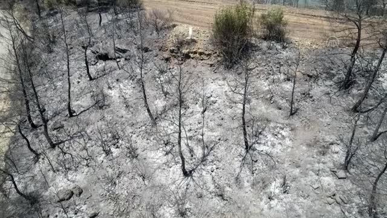 Son dakika haberi: (DRONE) Aladağ'daki orman yangınına müdahale ediliyor (4)