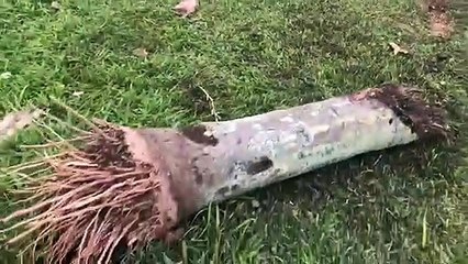 BMW bate forte e fica destruída em Florianópolis