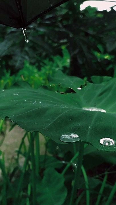 Relaxing rain sound