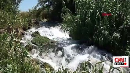 Şelale altında tehlikeli balık avı