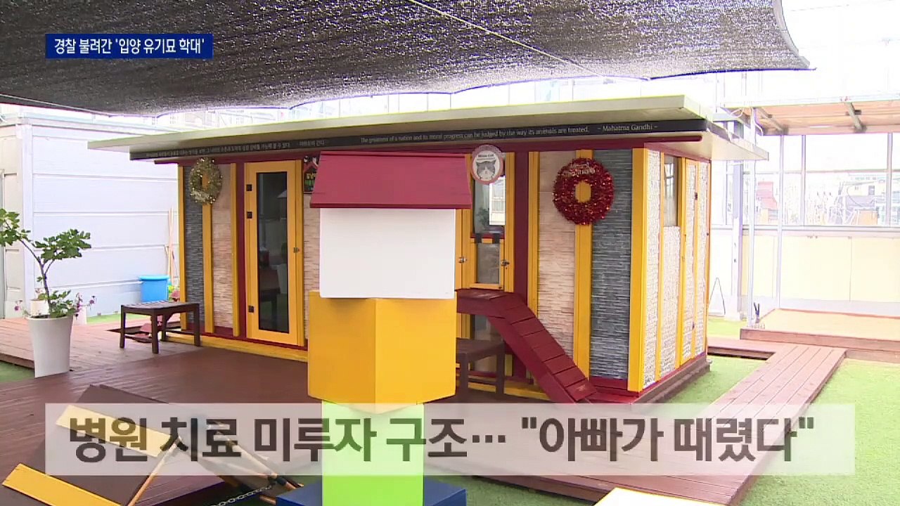 ‘입양 유기묘’ 학대로 하반신 마비…“아빠가 던졌어요”